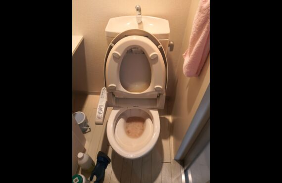 トイレ詰まりでお困りの方へ「お水のお医者さん」が即時解消致します