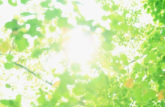 高圧洗浄屋さん